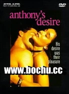 亚洲国产理论片在线播放